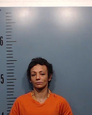 Davis, Bridget Elizabeth booking photo