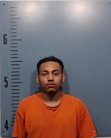 Johnson, Frederick Faesha, Jr. booking photo