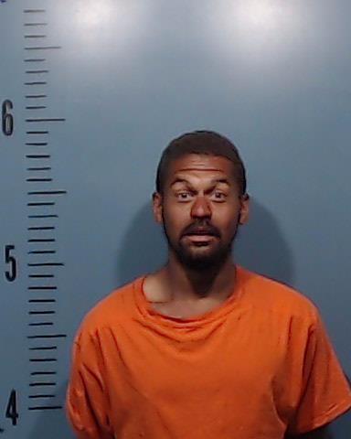 Caston, Timmothy Alexander arrested by Taylor County SO/PD