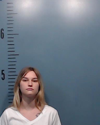 Jones, Abby Gail arrested by Taylor County SO/PD