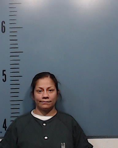 Gonzalez, Precilla Lee booking photo