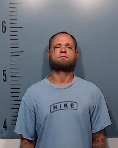 Williams, Jonathan Matthew arrested by Taylor County SO/PD