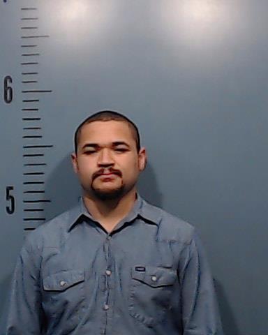 Davis, Jayden William Alexander arrested by Taylor County SO/PD