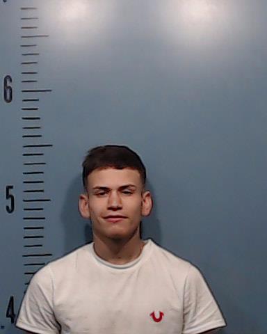 Miramontes, Marcus Damian arrested by Taylor County SO/PD