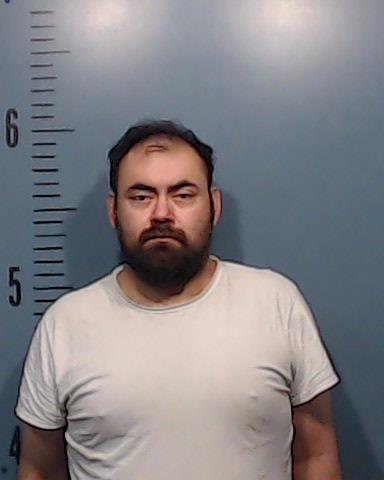 Ledezma, Reynaldo G arrested by Taylor County SO/PD
