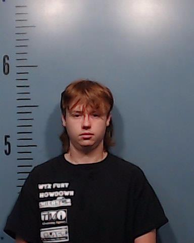 Massey, Samuel Lee arrested by Taylor County SO/PD