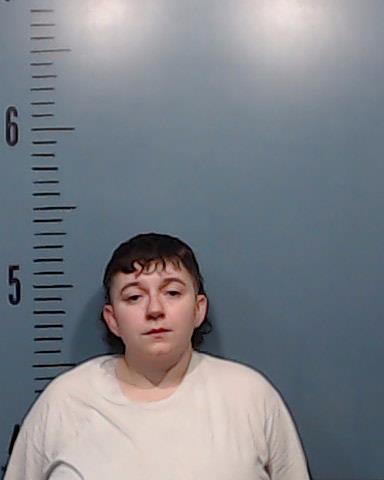 France, Taylor Devin arrested by Taylor County SO/PD