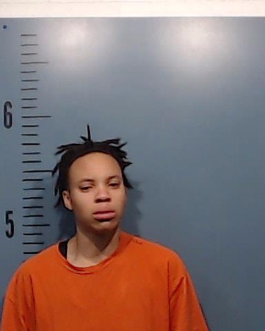 Ige, Genevieve Adeolu arrested by Taylor County SO/PD