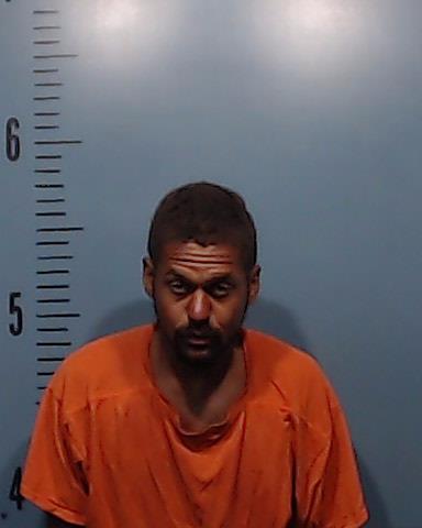 Caston, Timmothy Alexander arrested by Taylor County SO/PD