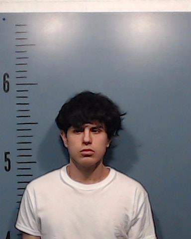 Flores, Matthew Isaiah arrested by Taylor County SO/PD