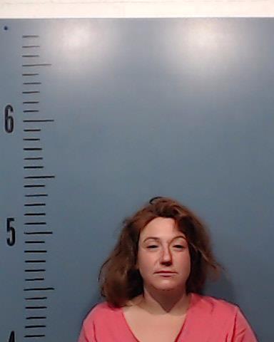Gotelaere, Lauren Rene arrested by Taylor County SO/PD