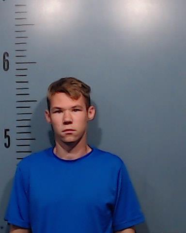 Kelly, Joshua Vitalii arrested by Taylor County SO/PD