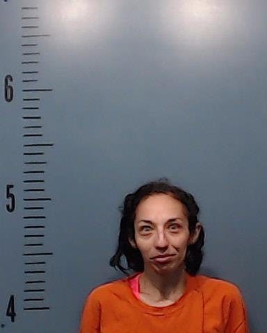 Delagarza, Angie arrested by Taylor County SO/PD