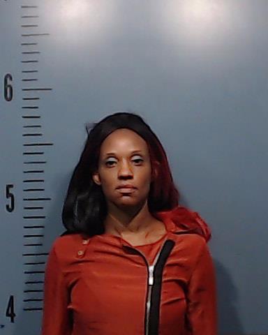 Hollis, Willandra Shevette arrested by Taylor County SO/PD