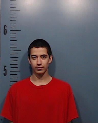 Haro-Estrada, Elijah Zuriel arrested by Taylor County SO/PD