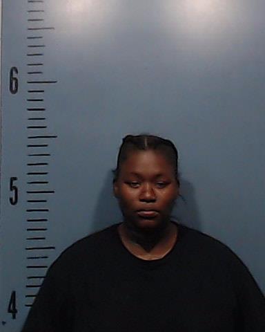 Baker, Sha-Kierra Charena arrested by Taylor County SO/PD