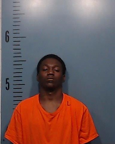 Haynes-Scroggins, Zykerion booking photo