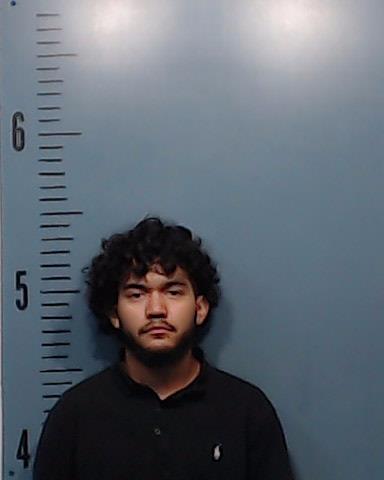 Arrellano, Joseph Anthony, Jr. arrested by Taylor County SO/PD