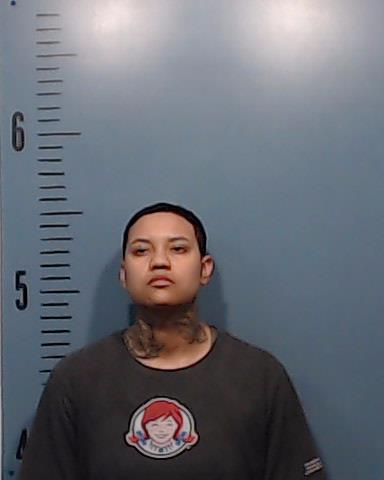 Luna, Alexis Mari arrested by Taylor County SO/PD