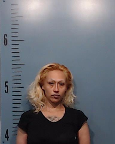 Gonzales, Lynda Michelle arrested by Taylor County SO/PD
