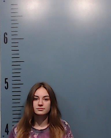 Dasilva, Jade Desiree arrested by Taylor County SO/PD