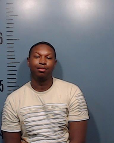 Stevenson, Rudy Demetris arrested by Taylor County SO/PD