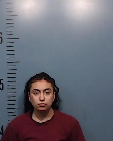 Torres, Alissa Celeste arrested by Taylor County SO/PD