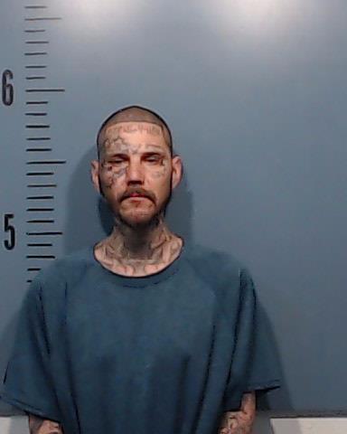 Williams, Christopher Allen arrested by Taylor County SO/PD