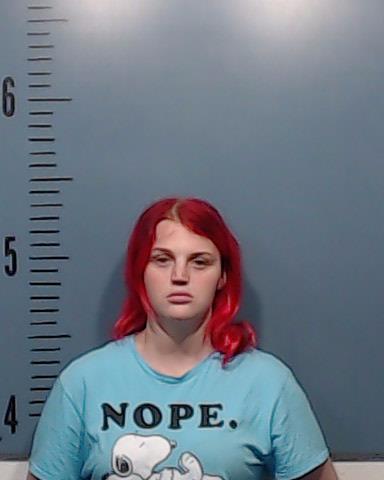 Gomez, Veenus KaylaMarie arrested by Taylor County SO/PD