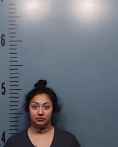 Falcon, Pilar Trevino booking photo