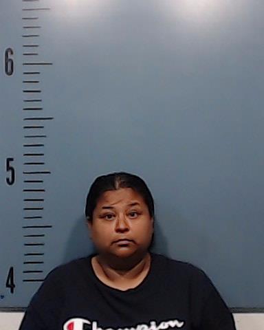 Torres, Priscilla Leija booking photo