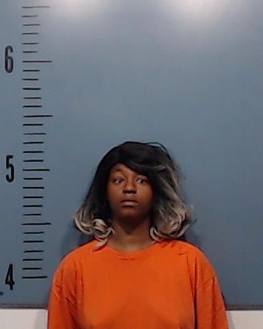 Scott, Tijana Shabree booking photo