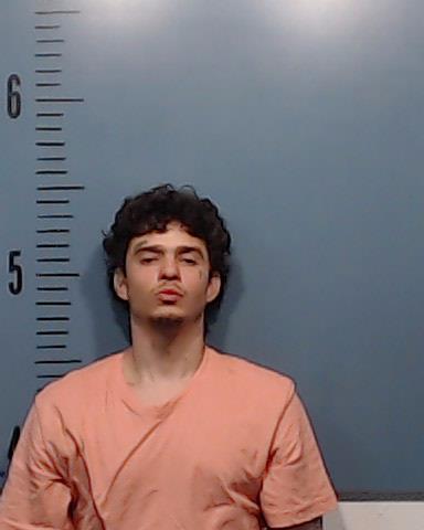 Sepulveda, William Alexander booking photo