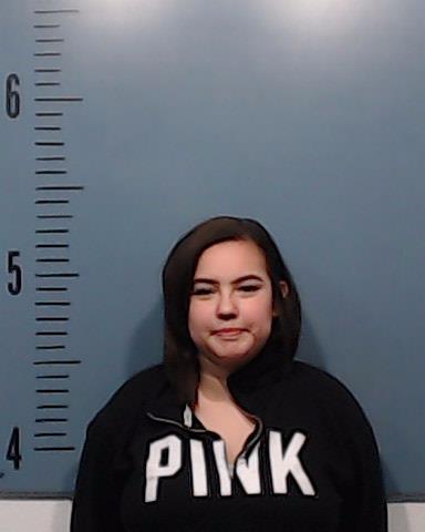 Gutierrez-Cerda, Andrea Elizabeth booking photo