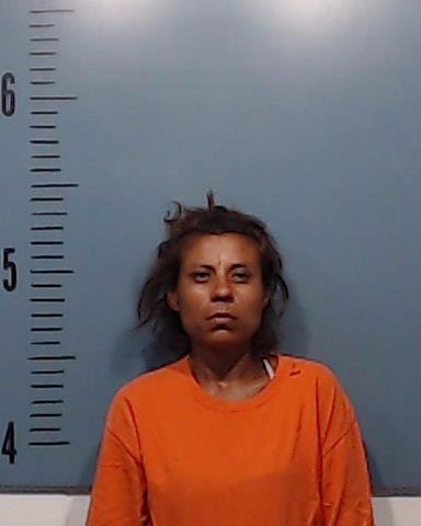 Donaghey, Felisita Villegas booking photo