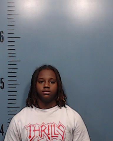Turner, Dei'janae booking photo