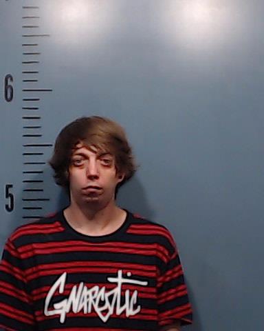 Patterson, John Michael arrested by Taylor County SO/PD