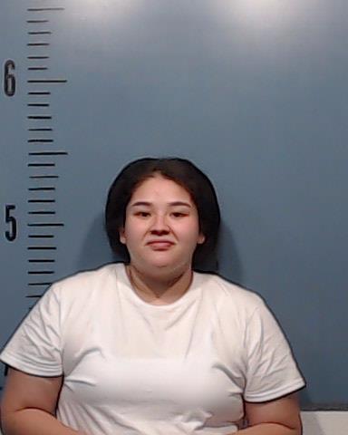 Aguero, Alesia Anna arrested by Taylor County SO/PD