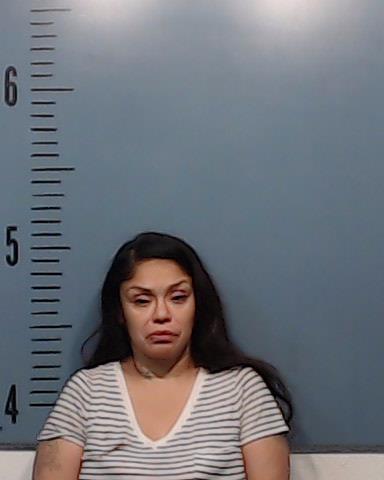 Torrez, Janna Renee booking photo