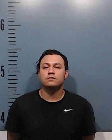 Goodman, Nicholas Samuel booking photo