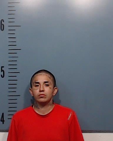 Garcia, Adriana Josefa booking photo