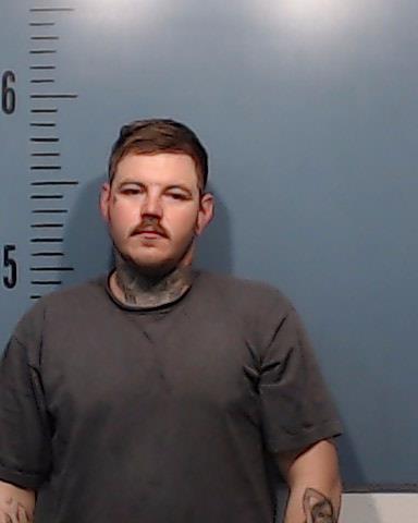 Wolfe, Shawn Michael booking photo