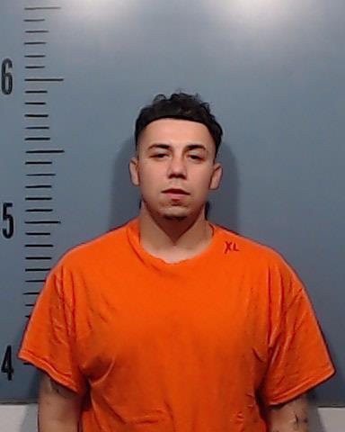 Salinas, Joe Lewis booking photo