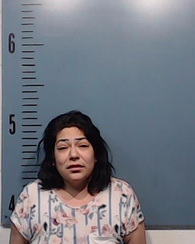 Swenor, Larissa Ann booking photo