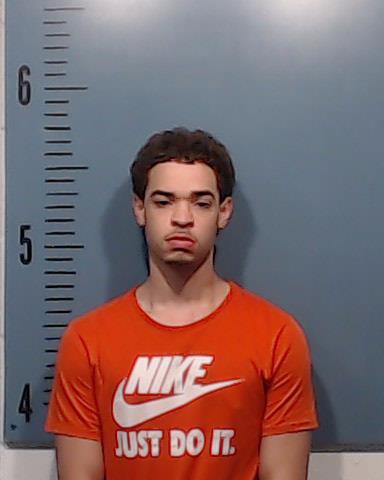 Lewis, Phillip Shane, Jr. booking photo