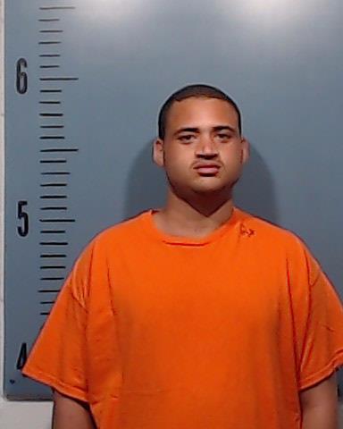 Davis, Brenton Ladon booking photo