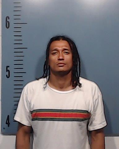 Lara, Jessie Leo booking photo