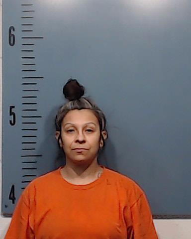 Alvarado, Anna Alicia booking photo