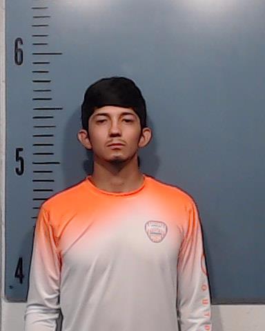 Silva, Gavino booking photo