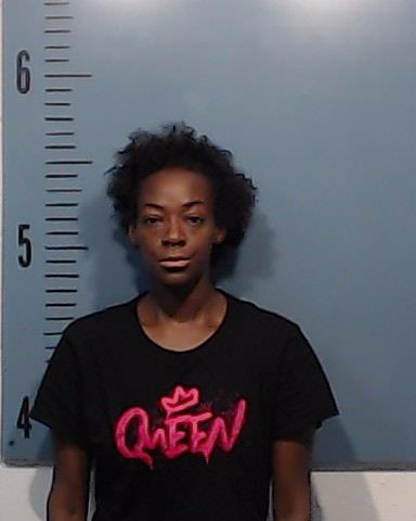 Egnew, Martha Kay booking photo